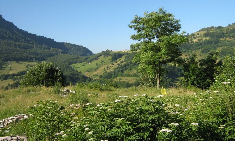 Scenery in Bosnia & Herzegovina