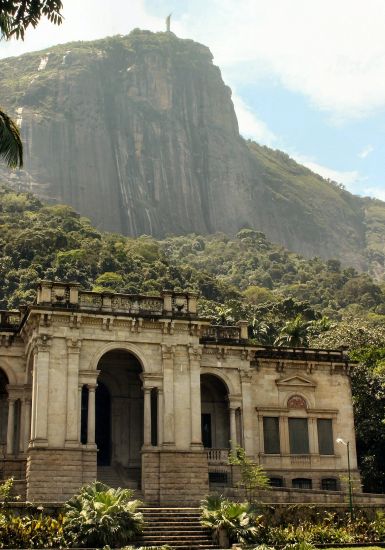 Botanic gardens in Rio de Janeiro