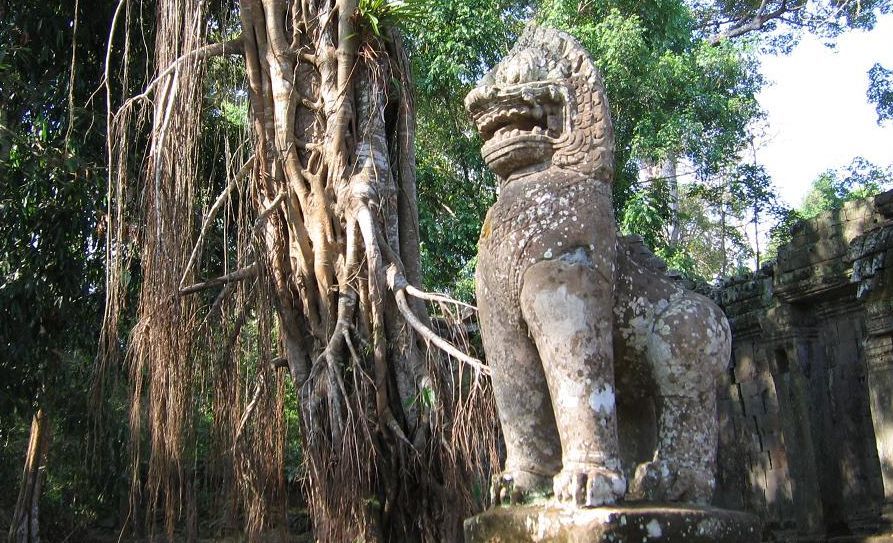 Temple Guardian ( Chinthe ) at Siem Reap in northern Cambodia