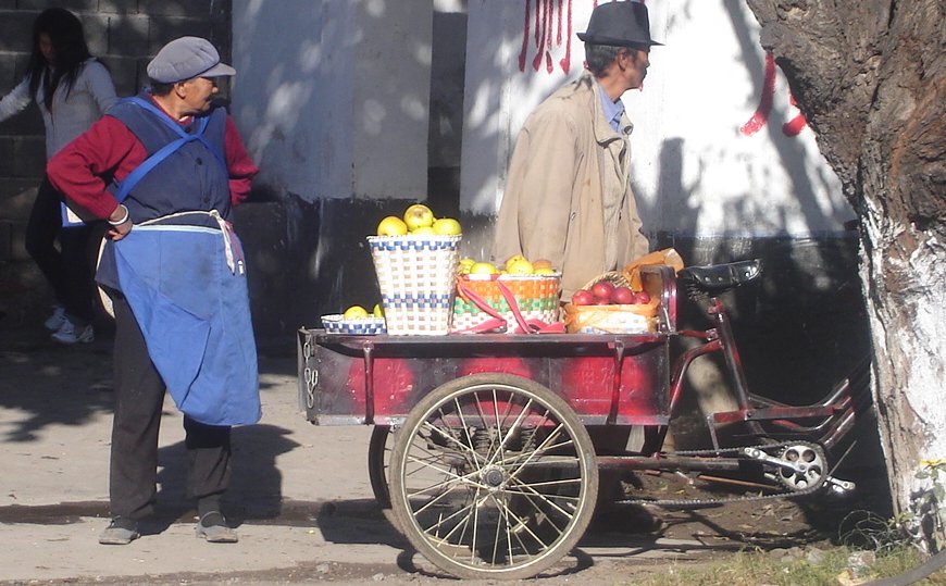 Local Naxi Fruit Seller