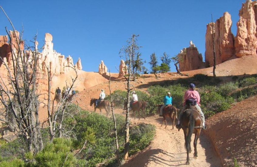 Horse Riding in Bryce Canyon