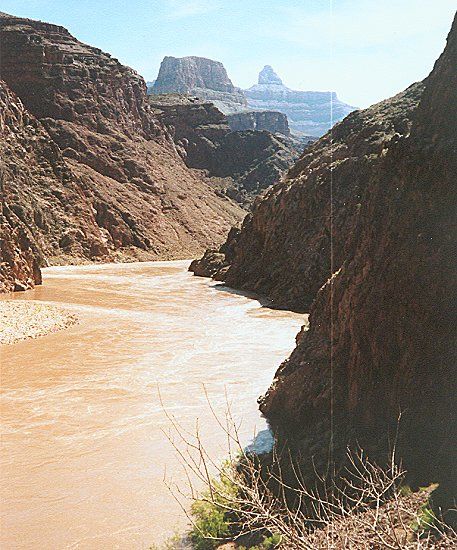Colorado River in Valley Floor of the Grand Canyon