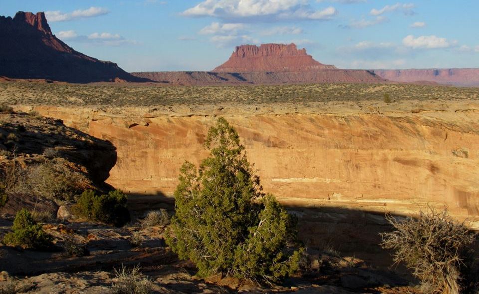 Sandstone Buttes from Island in the Sky in Canyonlands National Park
