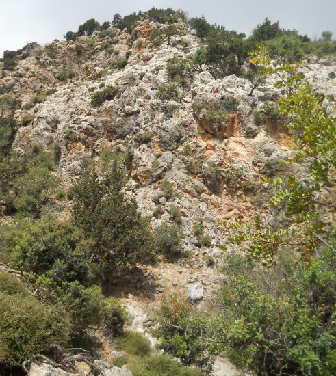 Cliffs of the Akamas Heights above the Adonis Trail