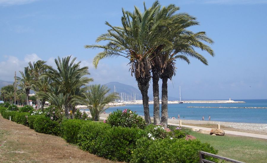 Palm trees lining the seafront at Latsi
