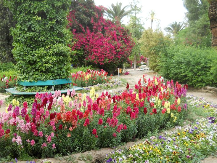 Municipal Gardens in Nicosia