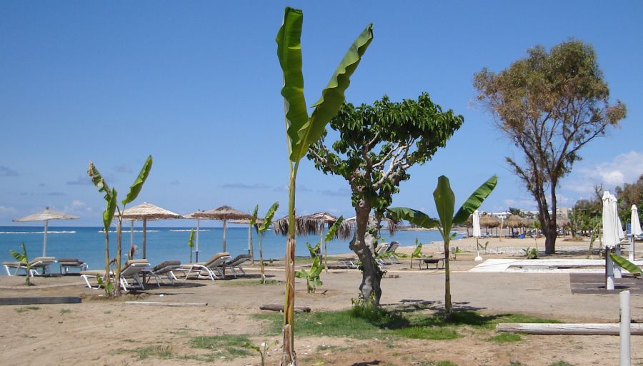 Beach at Paphos
