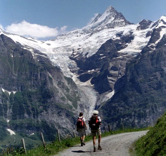 Grindelwald Glacier and Schreckhorn ( Terror Peak ) in the Bernese Oberland Region of the Swiss Alps