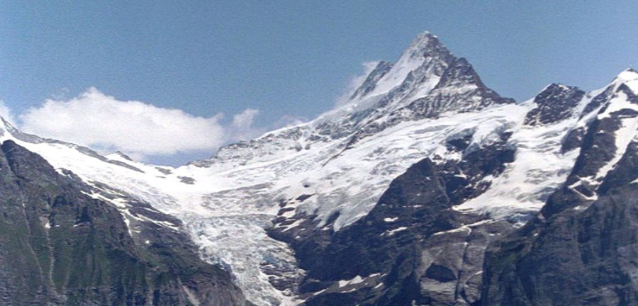 Schreckhorn ( Terror Peak ) and Upper Grindelwald Glacier in the Bernese Oberland Region of the Swiss Alps