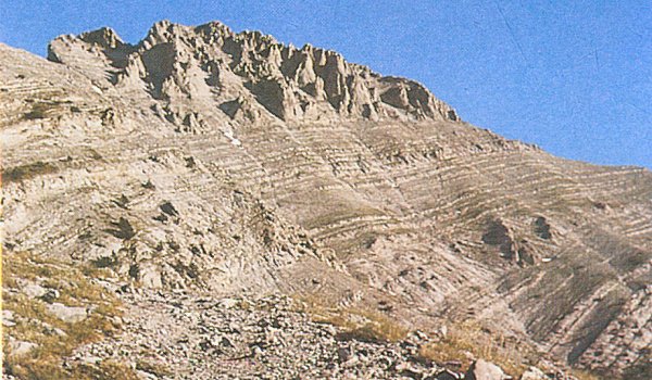Zonaria locality on the East Side of Mt. Olympus