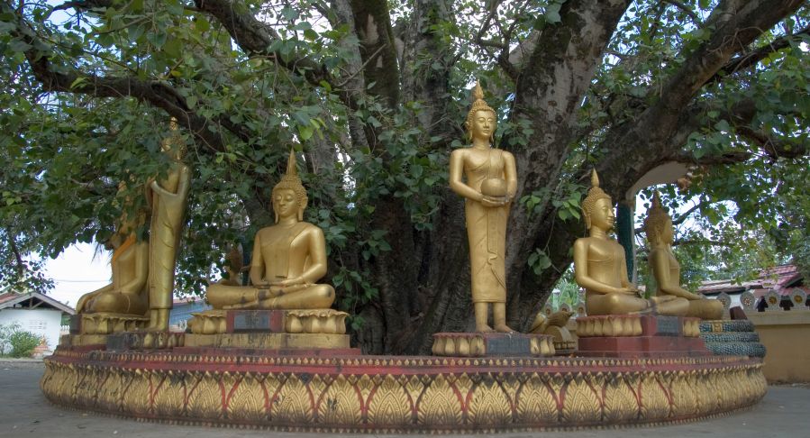 Buddha Statues at Wat That Luang in Vientiane