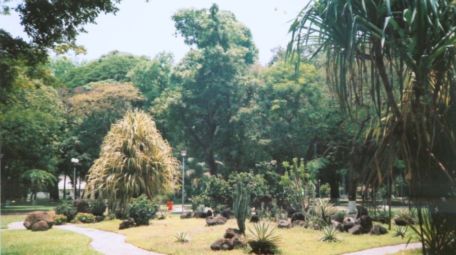 Cong Vien Van Hoa Park in Saigon ( Ho Chi Minh City )