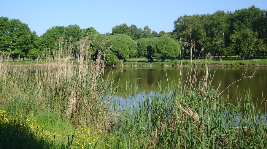 Lake in Uzvaras Park