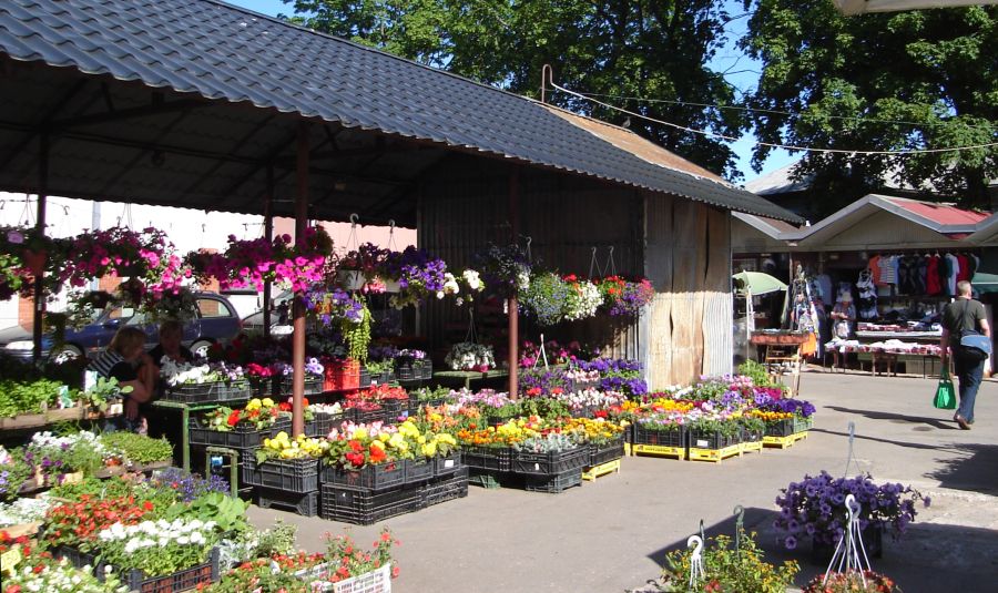 Flower Stalls at the Agenskalns Market