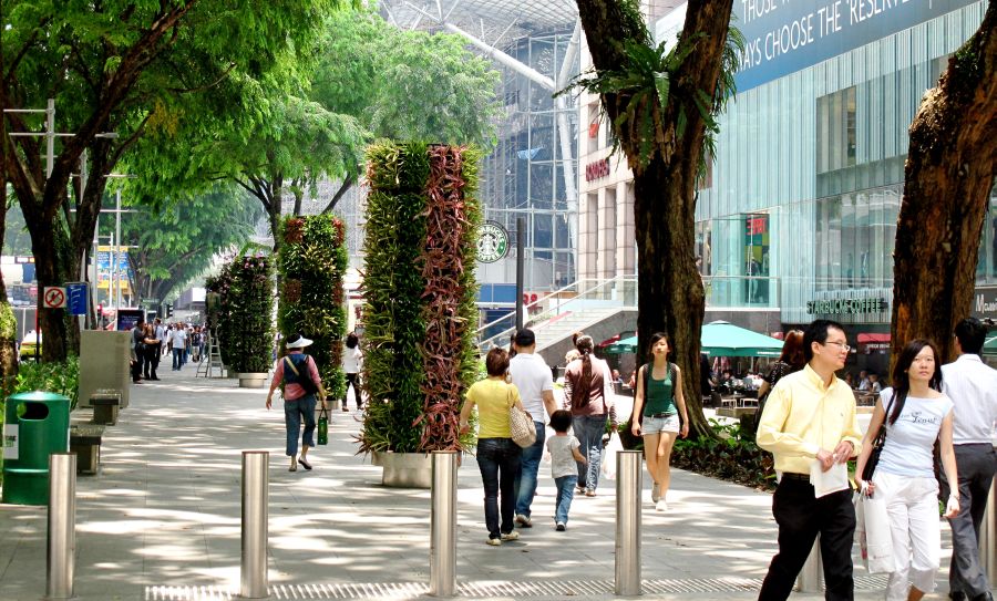 Flower Zone in Orchard Road