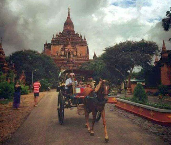 Pony and trap in Old Bagan in central Myanmar / Burma