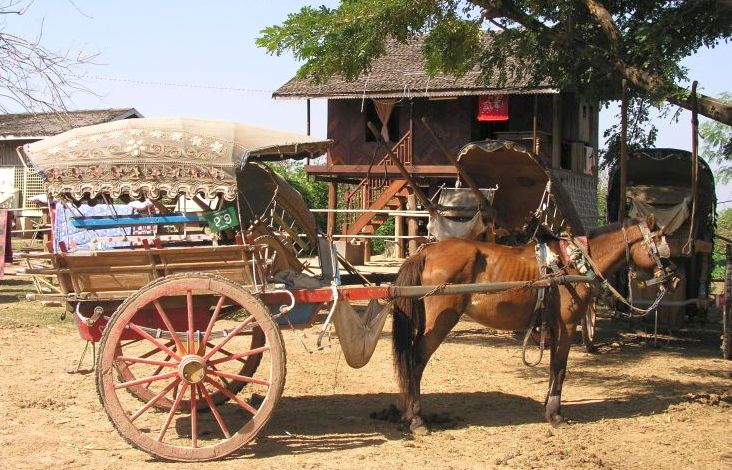 Horse Cart at Inwa near Mandalay in northern Myanmar / Burma