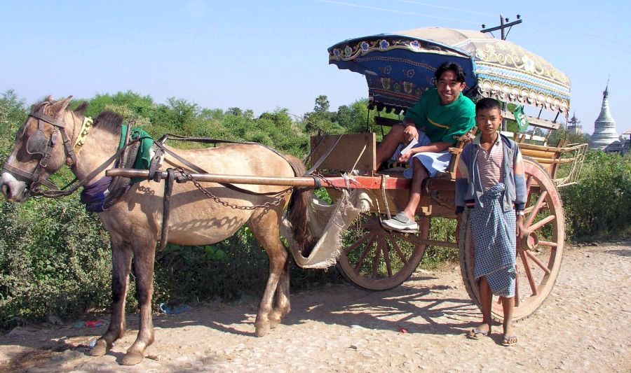 Horse Cart and Driver at Inwa near Mandalay in northern Myanmar / Burma