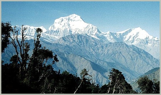 Dhaulagiri on ascent to Gorapani
