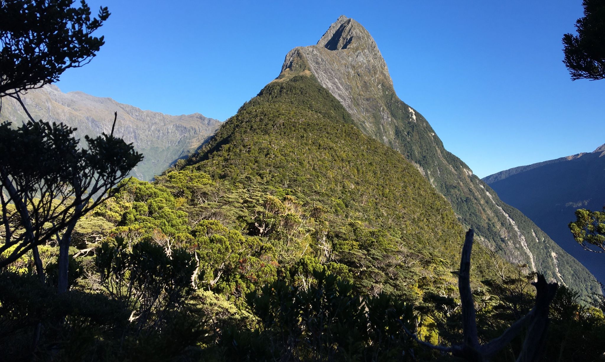 Mitre Peak in Milford Sound in Fjordland of the South Island of New Zealand