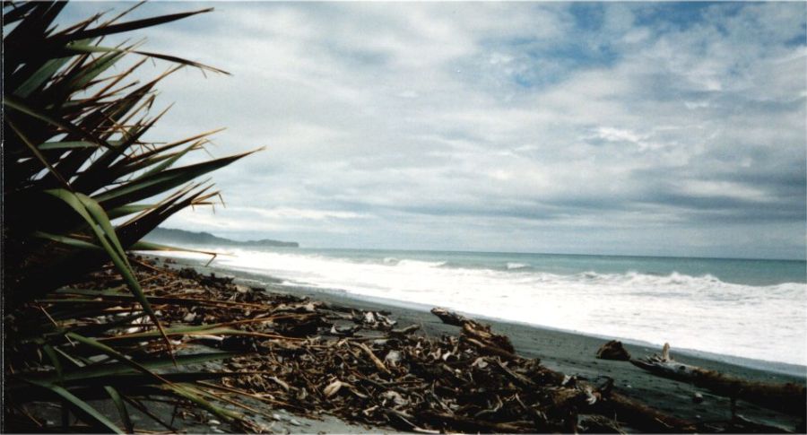 Tasman Sea coastline near Fox Glacier Town