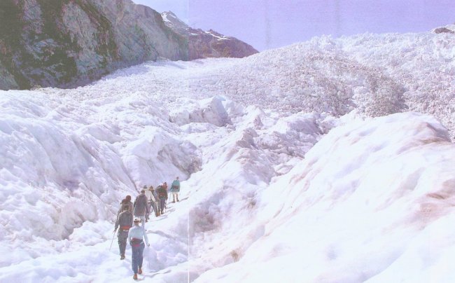 Walkers on the Franz-Joseph Glacier on South Island of New Zealand