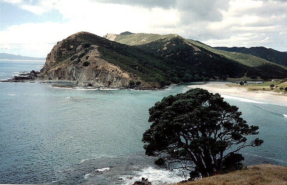 Tapotupotu Bay in Northland of the North Island of New Zealand