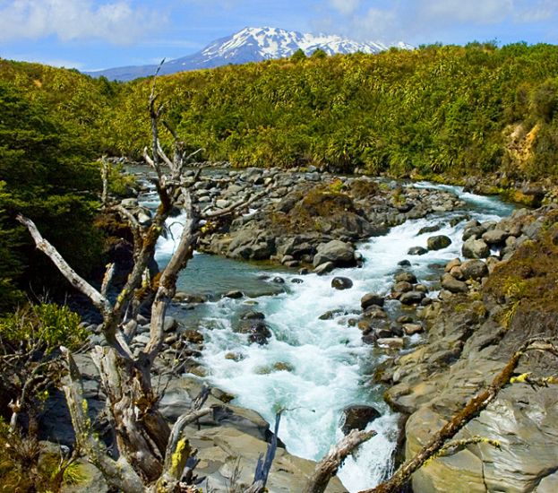 Mahuia River in Tongariro National Park in North Island of New Zealand