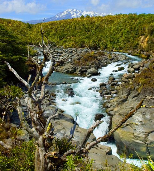 Mahuia River in Tongariro National Park in the North Island of New Zealand
