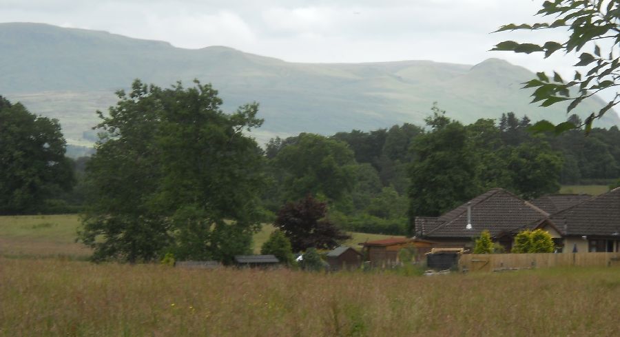 The Campsie Fells from Gallowhill Forest on the outskirts of Drymen