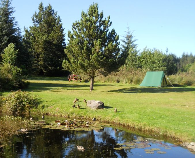 Campsite in Glen Trool Holiday Park
