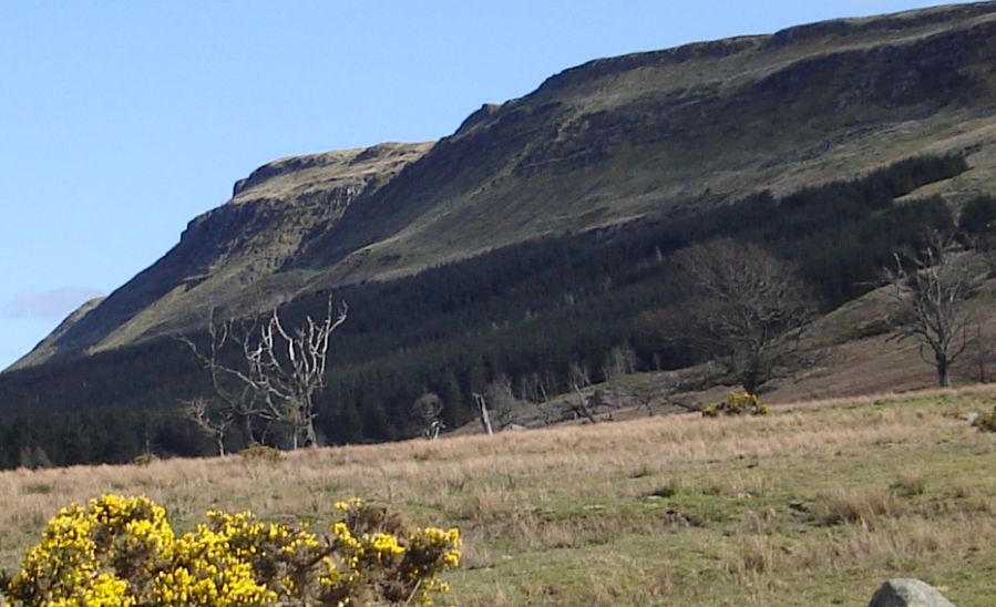 Escarpment of the Gargunnock Hills from Ballochleam Farm