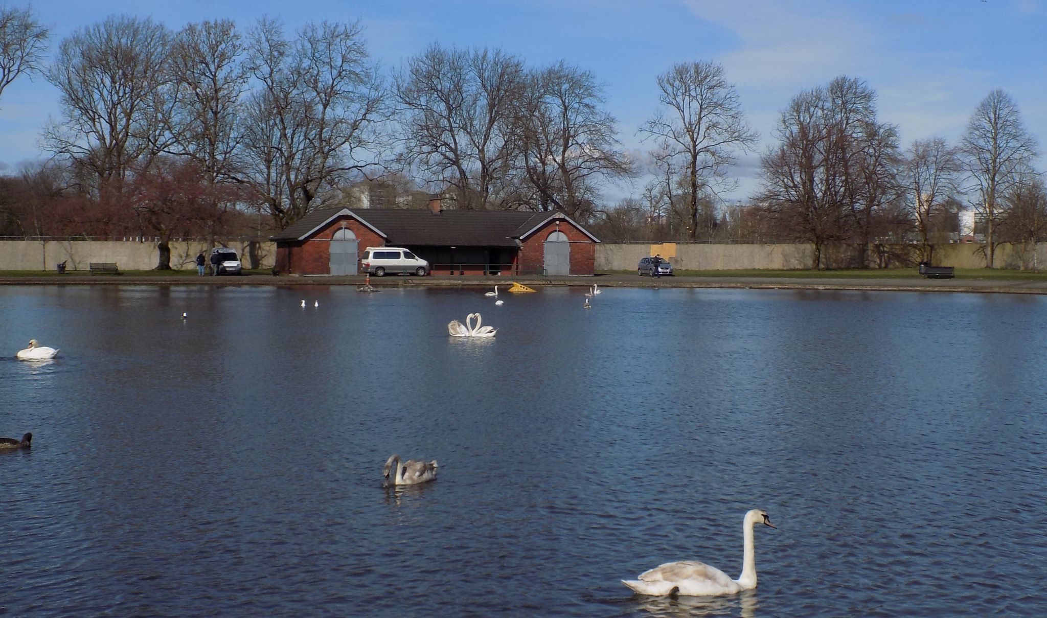 The boating pond in Richmond Park