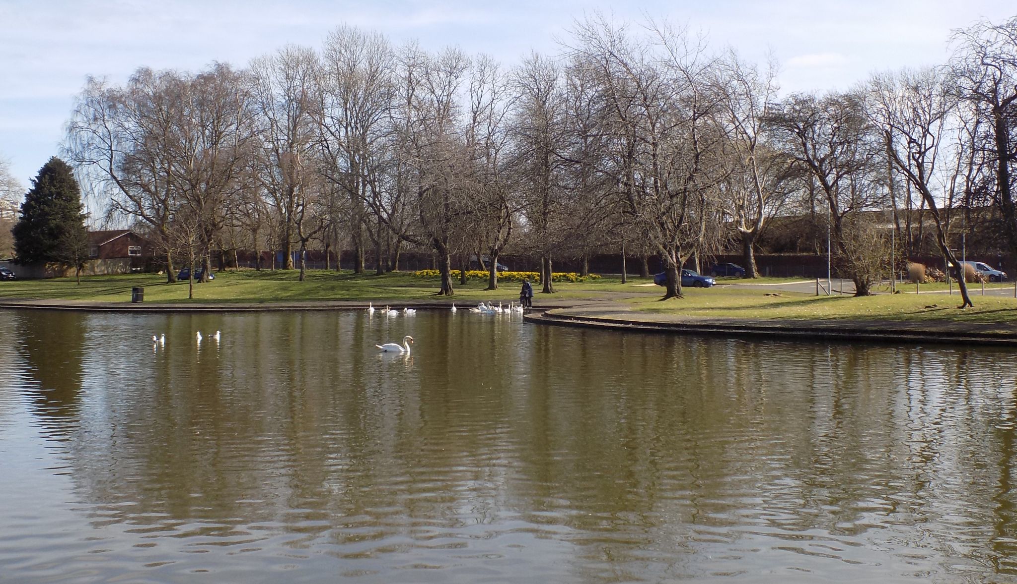 The boating pond in Richmond Park