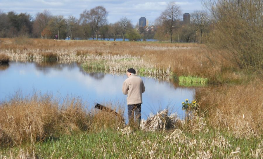 Pond at Hogganfield Loch
