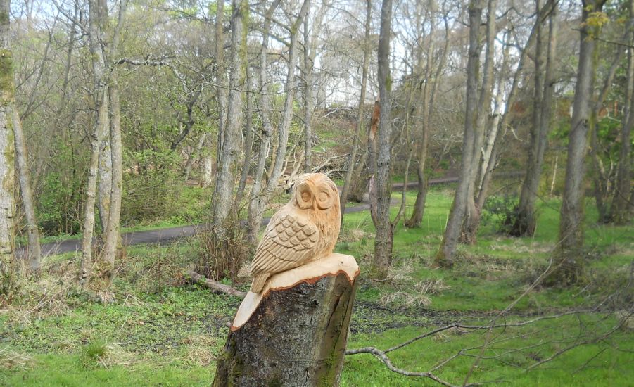 Owl Wood Carving on Tree stump at Kilmardinny Loch in Bearsden