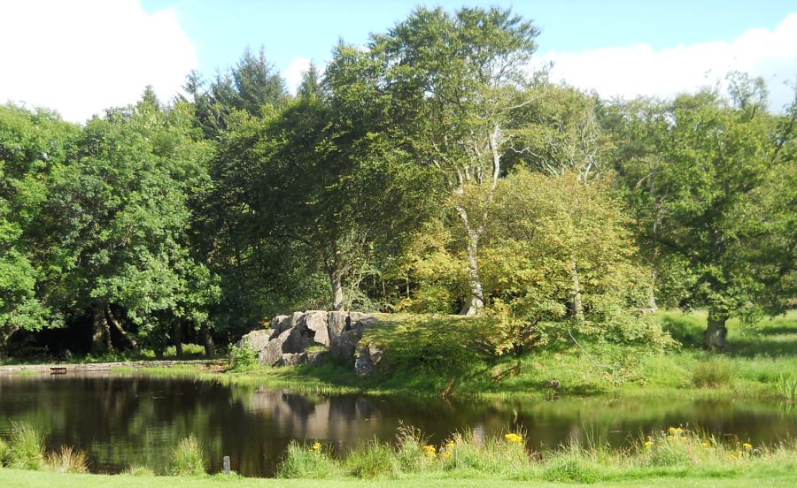 Pond at the BBQ area in Beecraigs Country Park