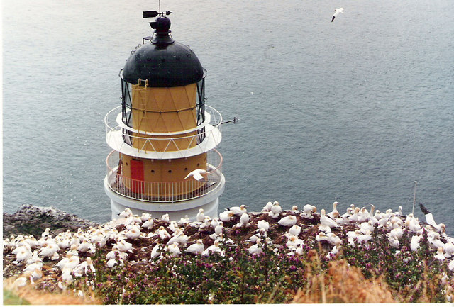 Lighthouse and gannets on The Bass Rock