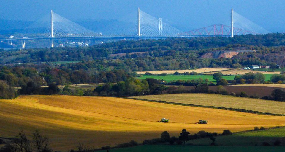 Forth Bridges from Cockleroy Hill