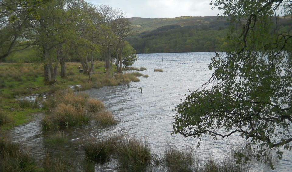 Loch Venacher from Little Drum Wood