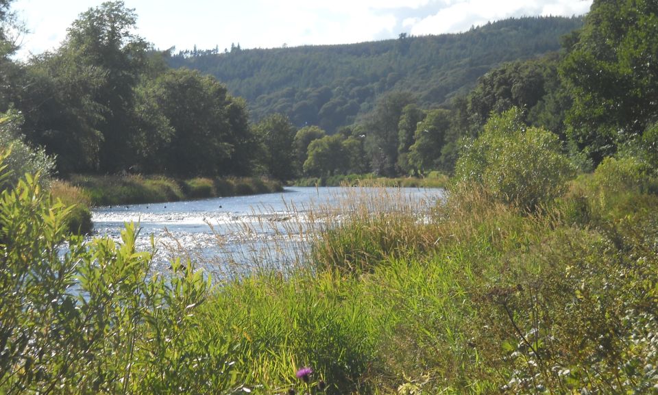 River Tweed at Peebles