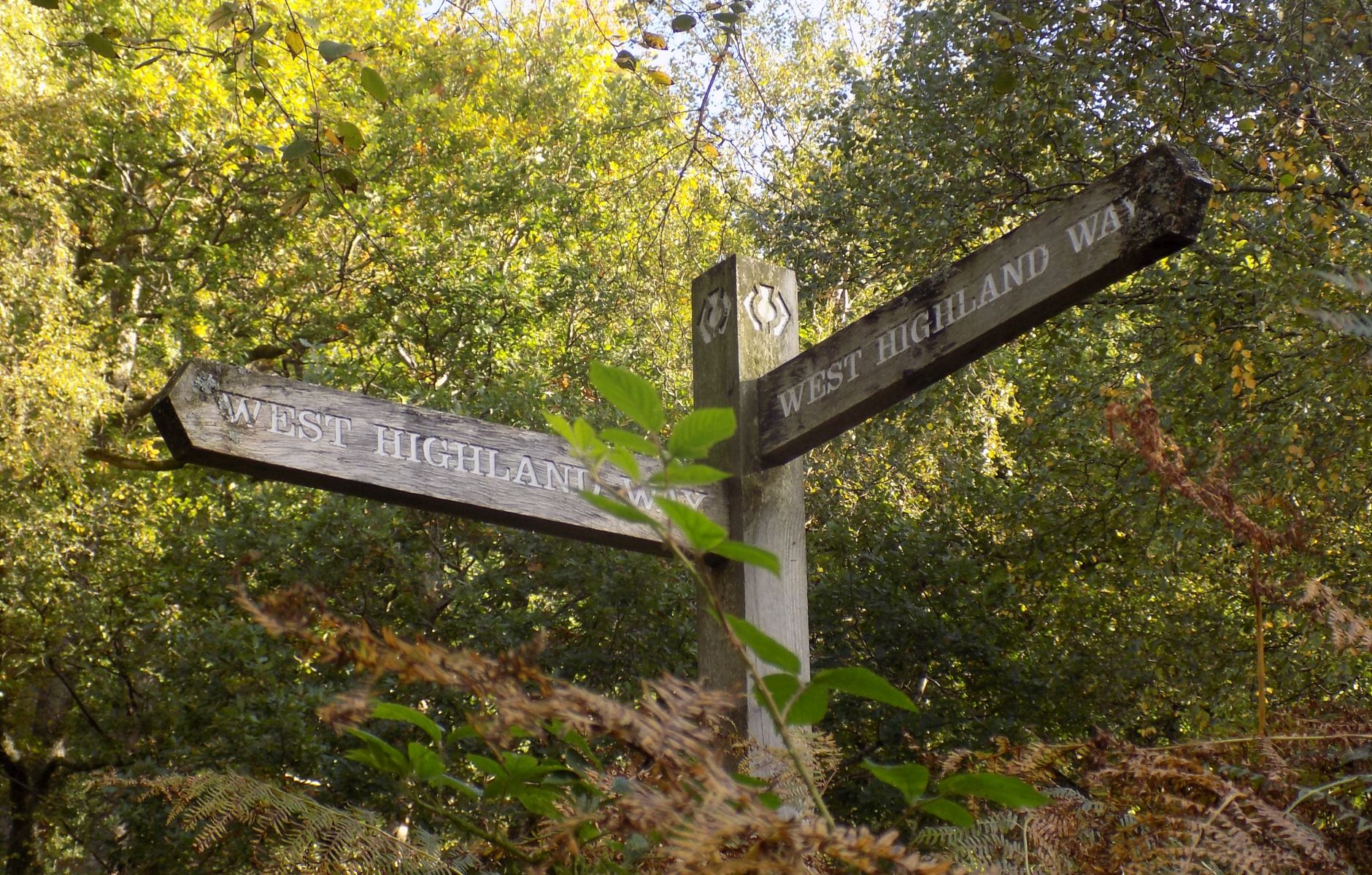 Signpost at branch point on West Highland Way along Loch Lomond