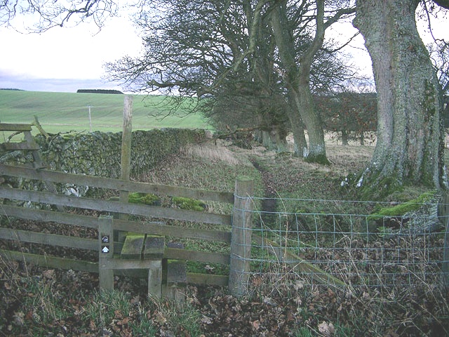 Dere Street ( Old Roman Road ) at Maxton in the Scottish Borders_