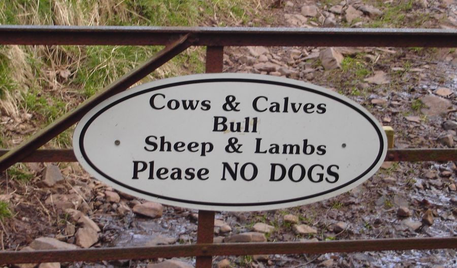 Sign on Path to the Fintry Hills