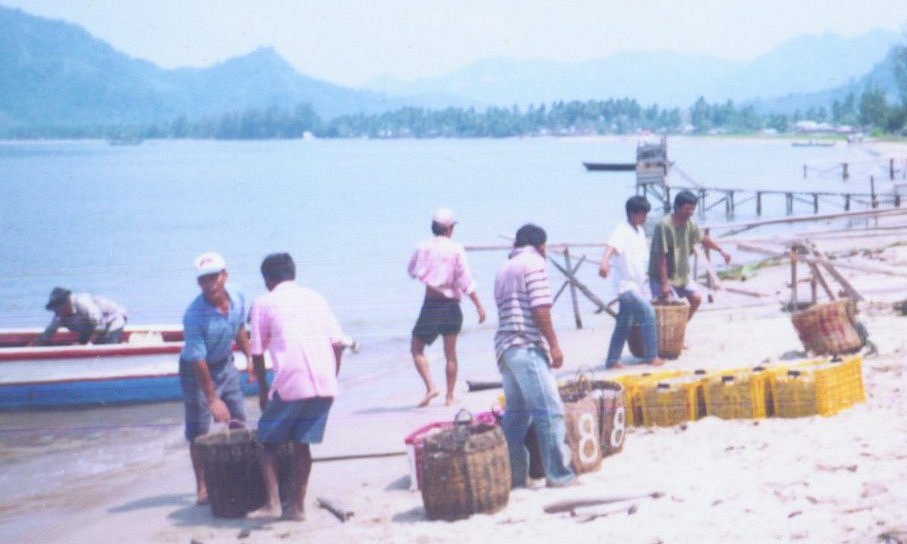 Fish being unloaded from boats at beach near Sibolga on Sumatra