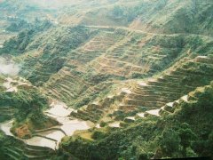 Rice Terraces, Philippines 