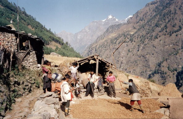 Ngyak Village, Buri Gandaki Valley, Nepal Himalaya, Manaslu Circuit