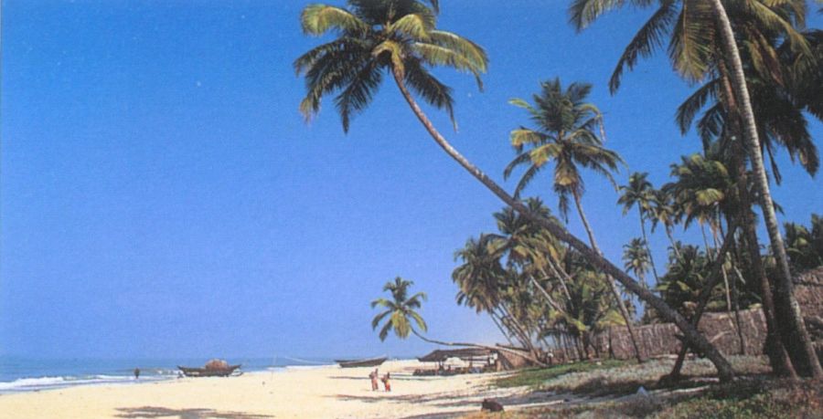 Goa Beaches - Colva