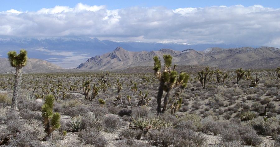 Nevada landscape near Las Vegas