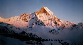 Sunset on Macchapucchre ( The Fishtail Mountain ) in the Nepal Himalaya